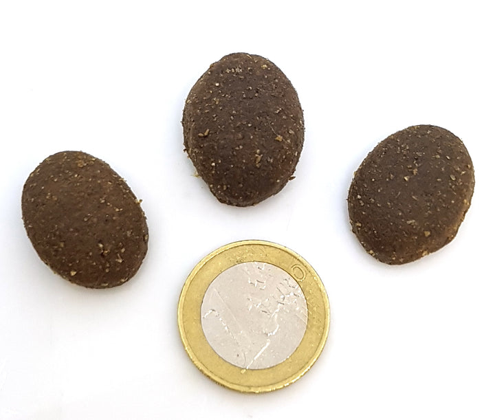 Krokette-Adult-Vergleich-Muenze