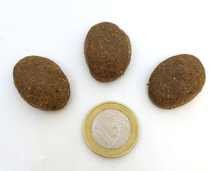Krokette-Junior-Vergleich-Muenze