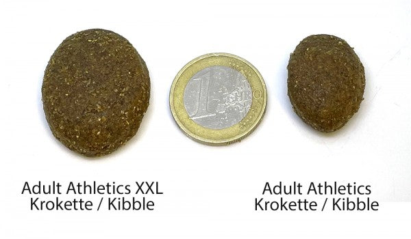 XXL