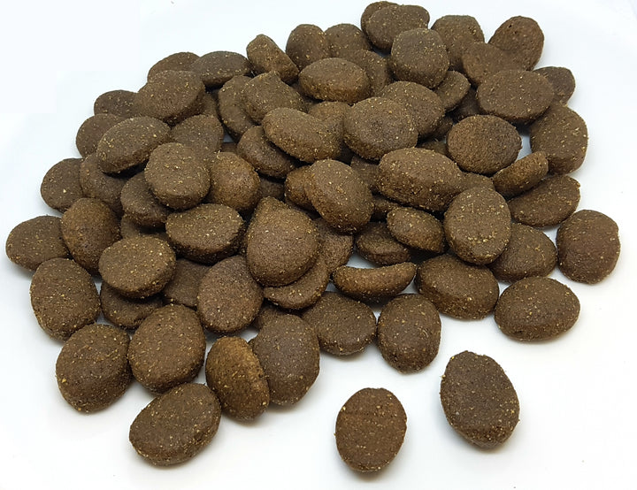 KYNOVITAL Adult Athletics 28-20